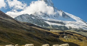 CK Turancar, autobusový poznávací zájazd, Švajčiarsky okruh, Klein Matterhorn