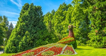 CK Turancar, autobusový poznávací zájazd, Alpský okruh a Bodamské jazero, Mainau