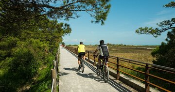 Vilka Holiday, zájazdy autobusovou a individuálnou dopravou  do Talianska, Bibione